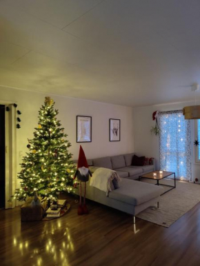 Villa Auroora, Rovaniemi